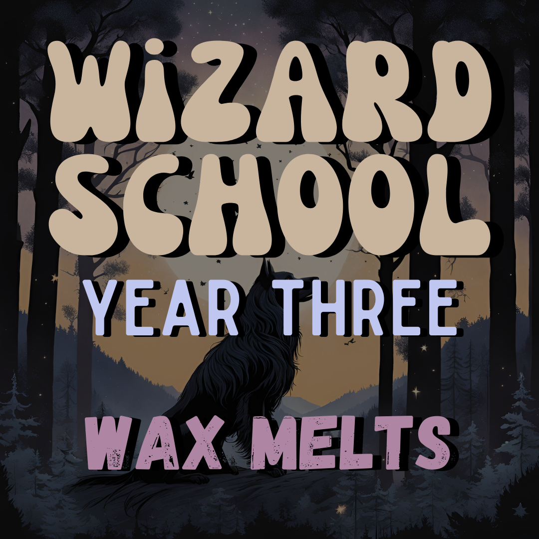 Year 3 Boxed Set