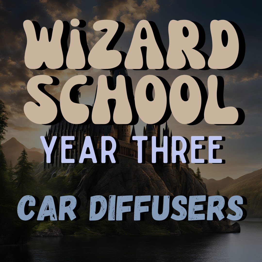Year 3 Car Diffusers