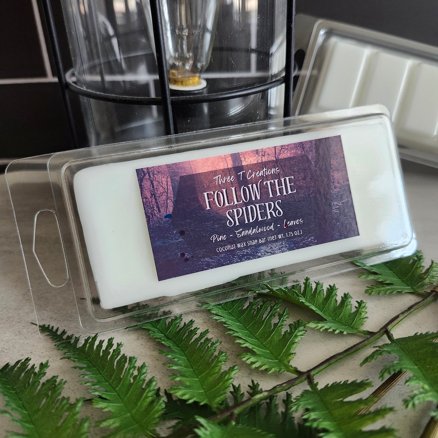 Follow the Spiders Wax Melts